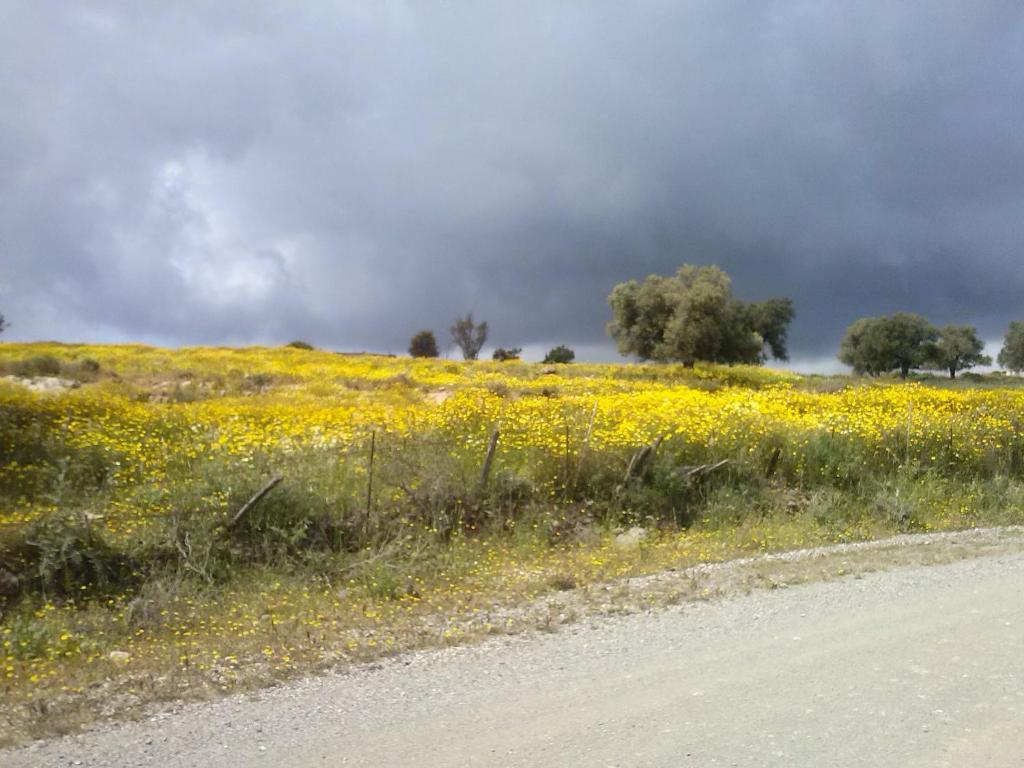 Villa Costas - Popi Sivas Bagian luar foto